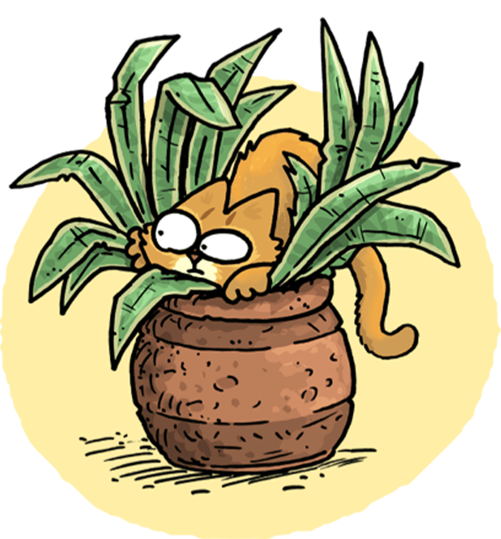 Zodic Cats Icons Saggitarius