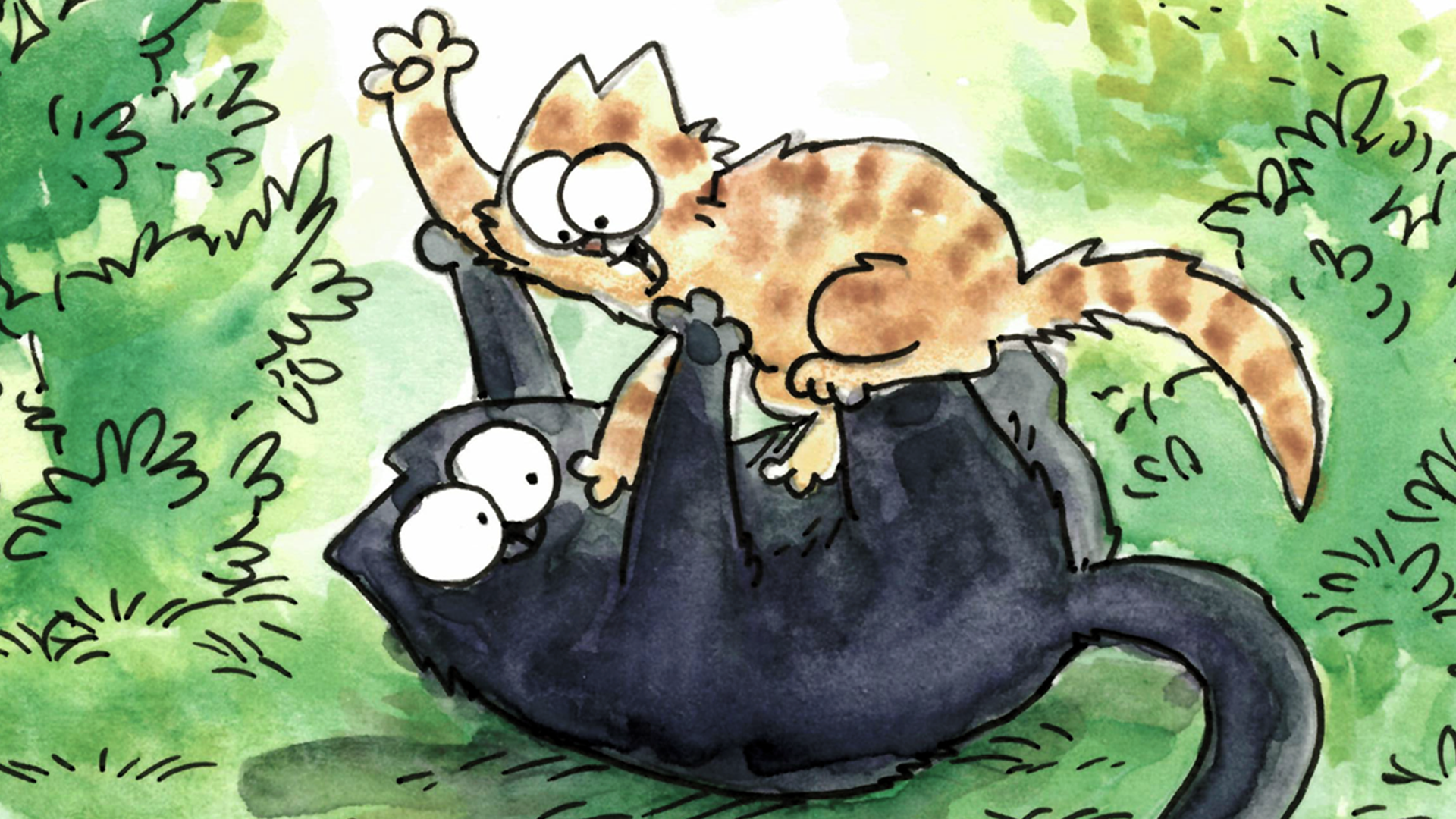 Rough and tumble thumbnail